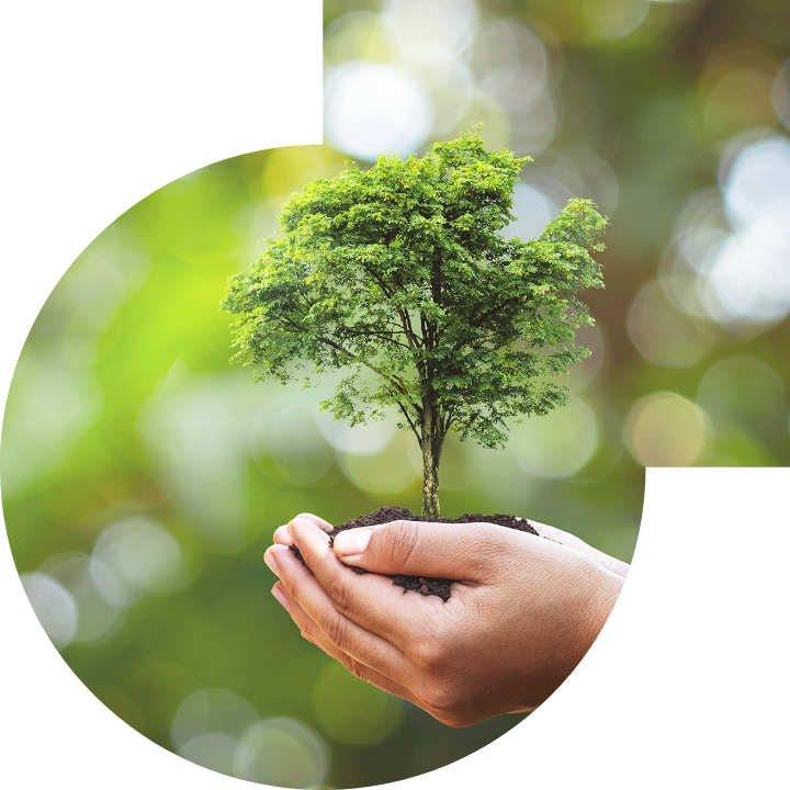 �P��������Ļ����h���c���