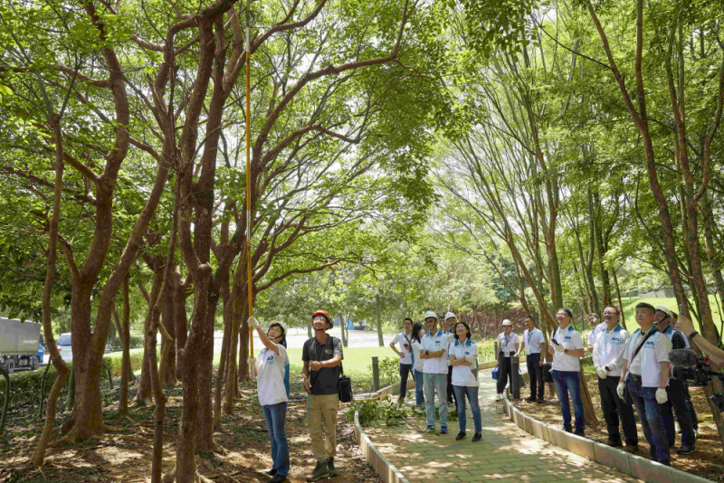 ˇ���̌�����J�R��ľ���z���Ľ�����r���W����֦����֦����