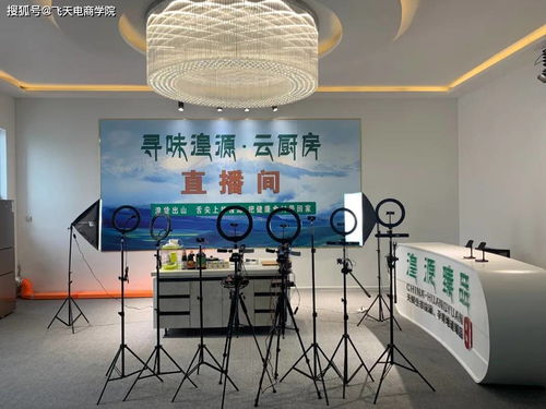 電商賦能傳統技藝，湟源城關鎮玉珍唐卡店與大藏印象披肩店入駐縣電子商務孵化園